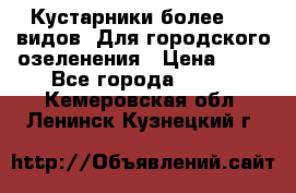 Кустарники более 100 видов. Для городского озеленения › Цена ­ 70 - Все города  »    . Кемеровская обл.,Ленинск-Кузнецкий г.